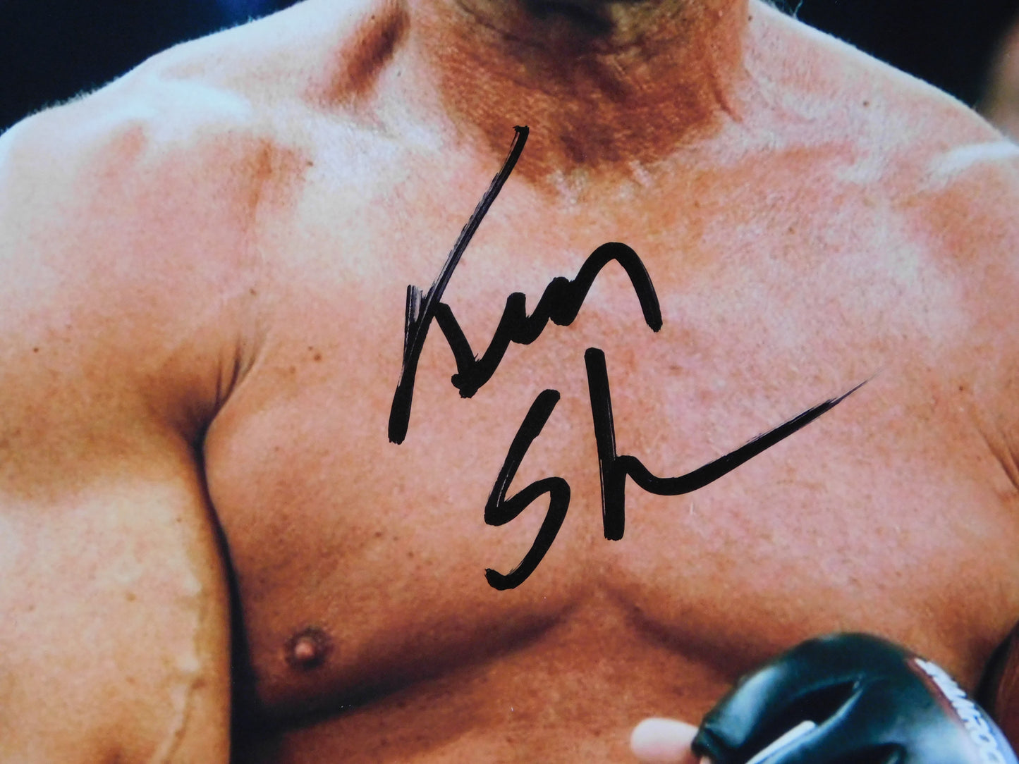 Ken Shamrock / Autographed 8x10 Photo JSA COA WWE