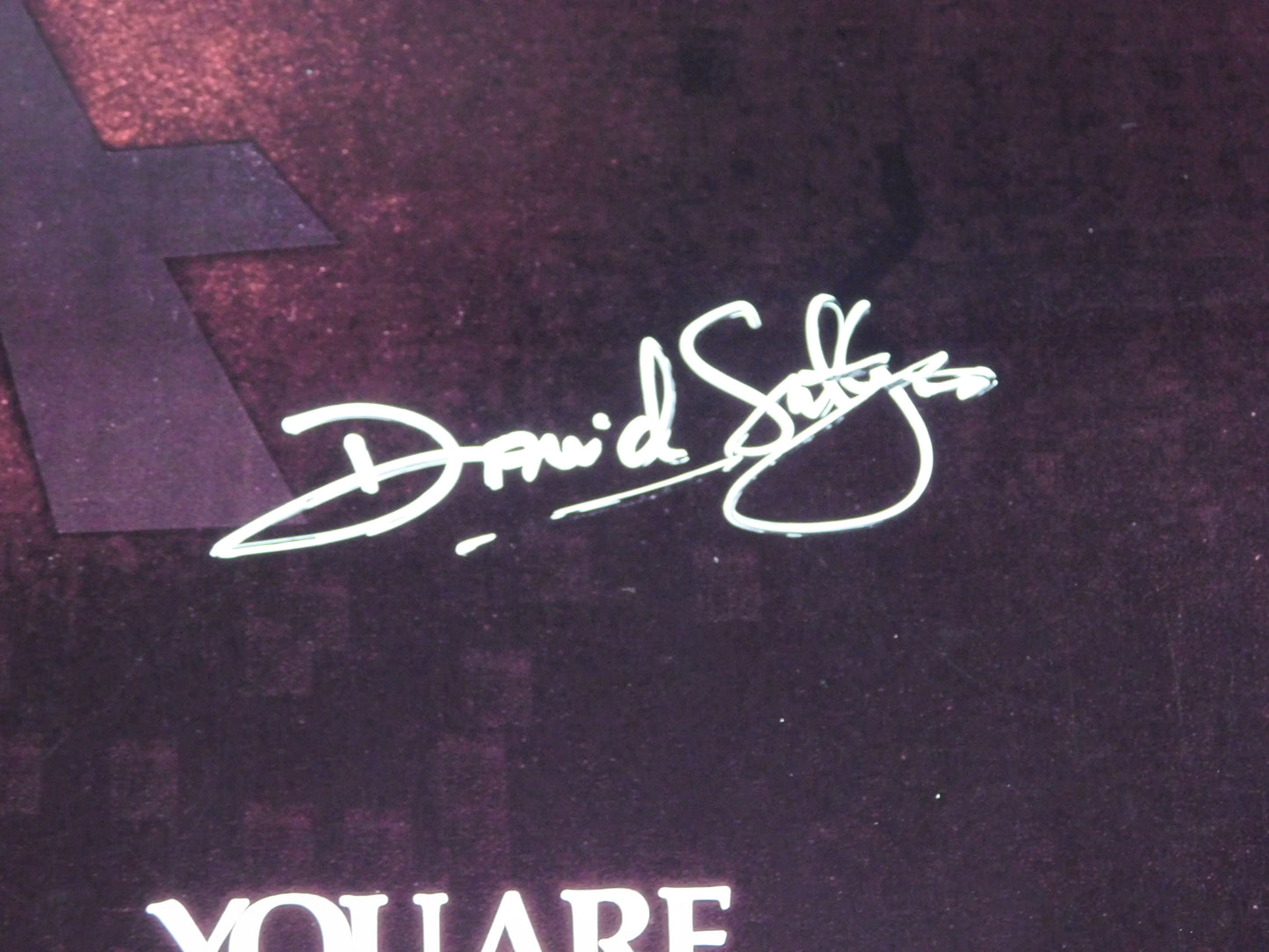 David Seltzer Signed / Autographed The Omen 11x17 Movie Poster JSA COA Author