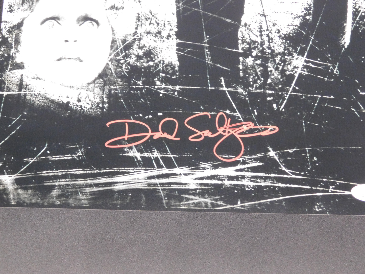 David Seltzer Signed / Autographed The Omen 12x18 Movie Poster JSA COA Author