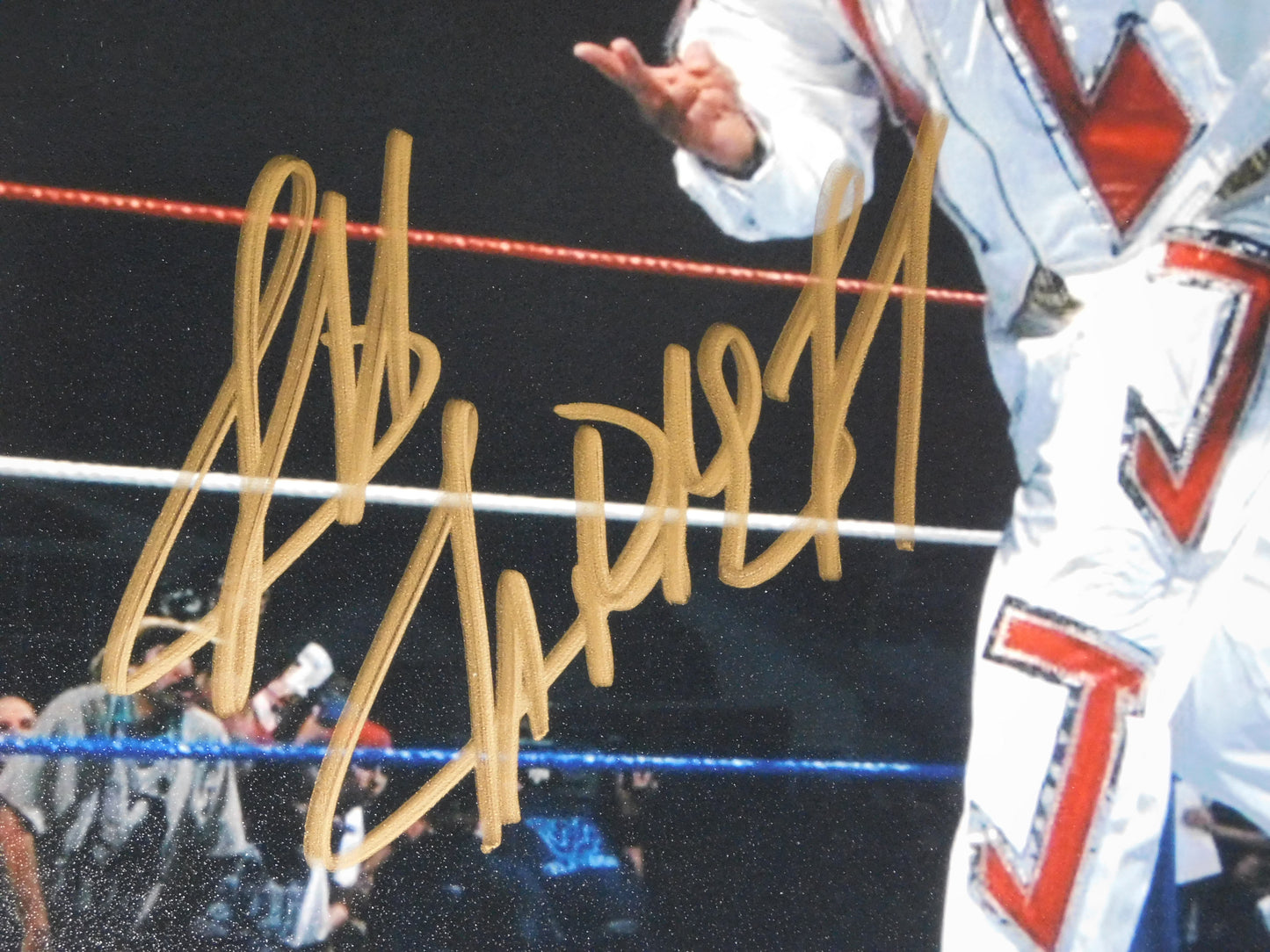 Jeff Jarrett / Autographed 8x10 Photo JSA COA WWE