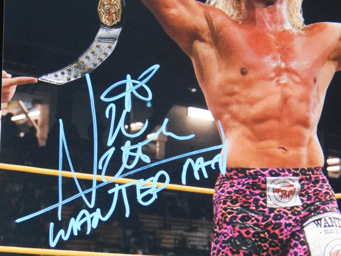 Dolph Ziggler / Autographed 8x10 Photo JSA COA WWE