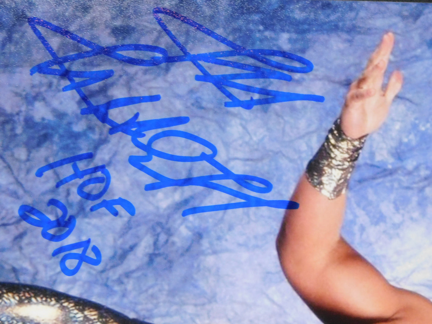 Jeff Jarrett / Autographed 8x10 Photo JSA COA WWE