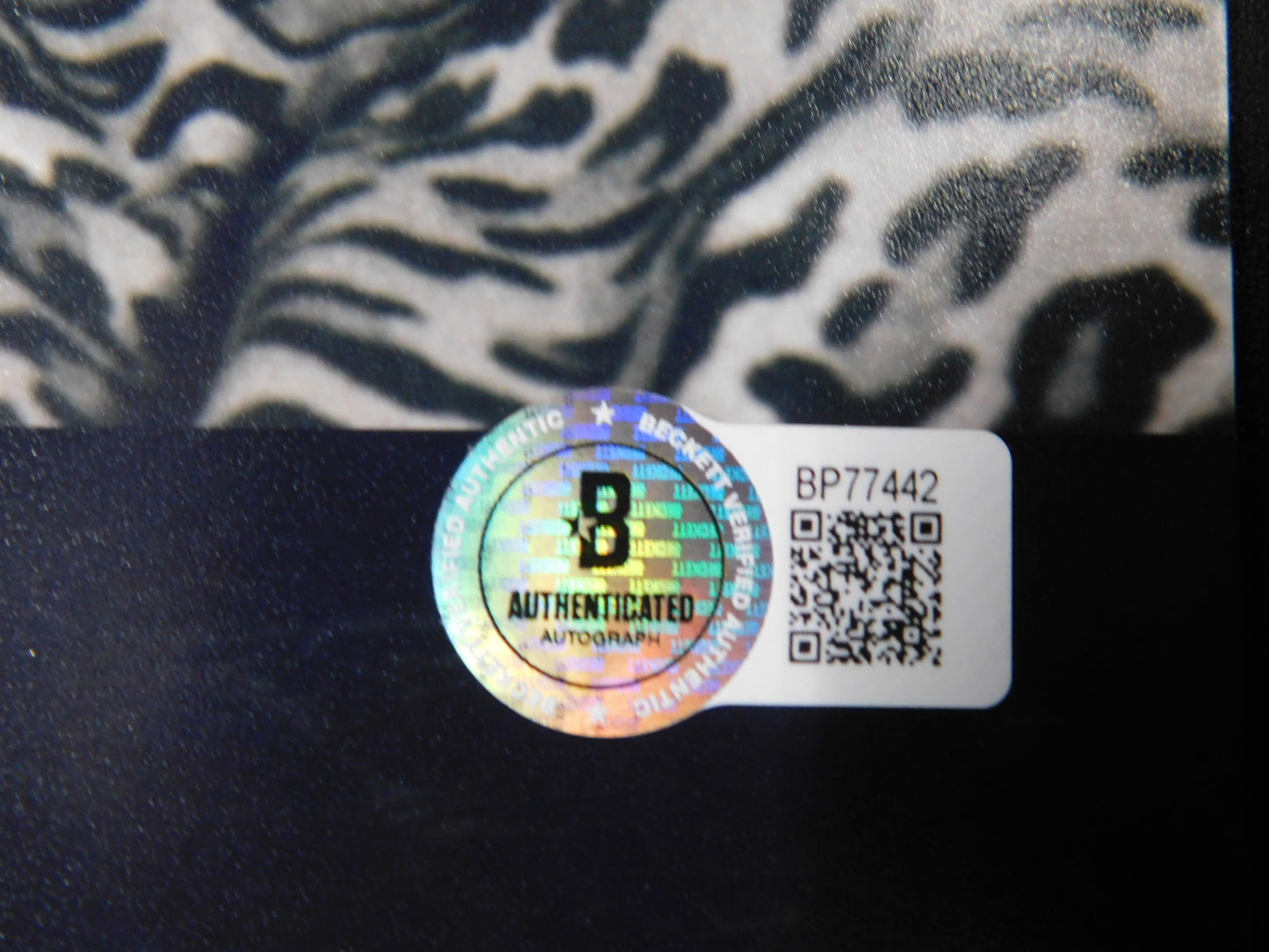 Drea de Matteo Signed/Autographed 11x14 Photo Sons of Anarchy JSA