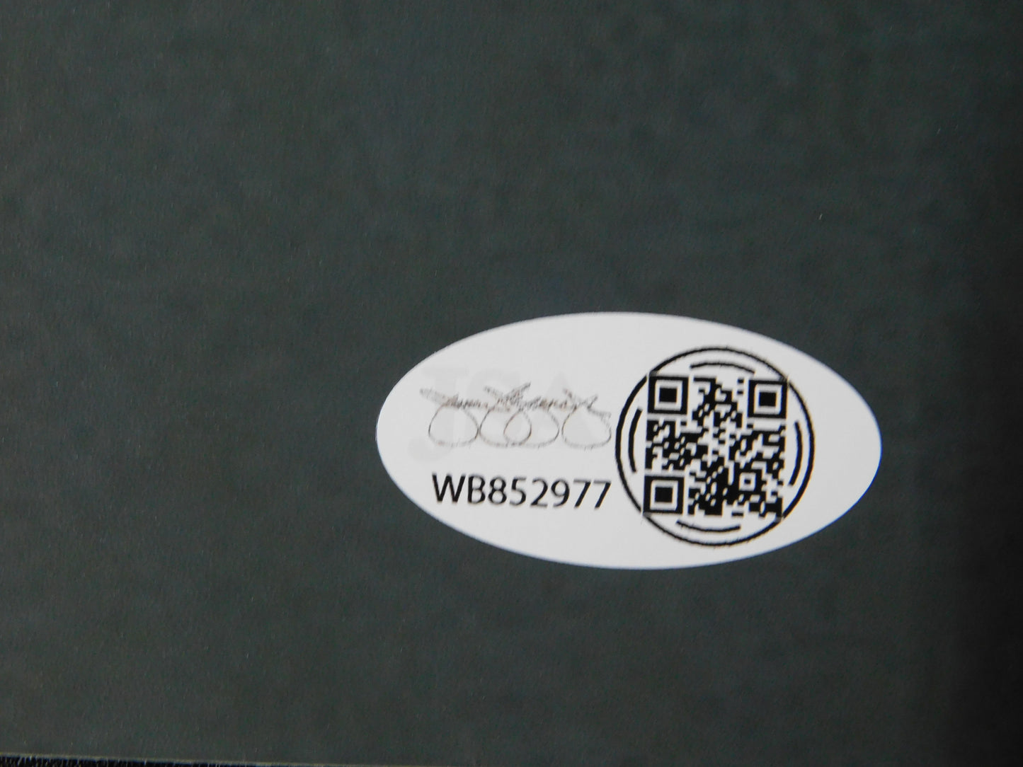 Alexis Knapp Signed / Autographed 11x14 Photo Pitch Perfect JSA