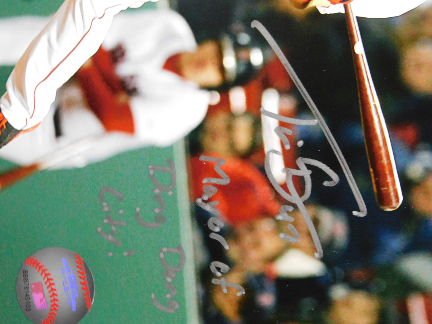 Travis Shaw Signed/Autographed 8x10 Photo Boston Red Sox JSA COA