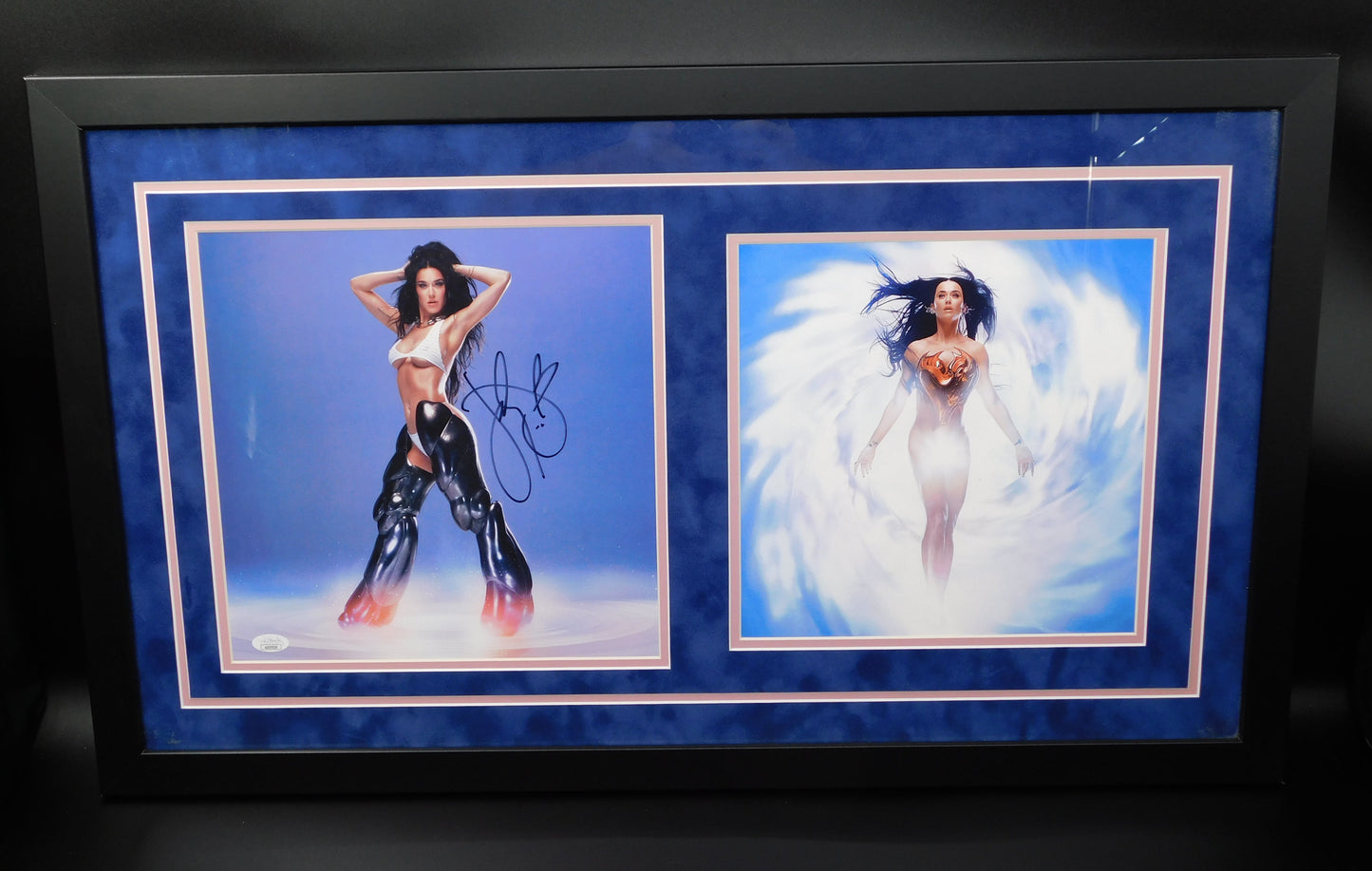 Katy Perry Signed Autographed Framed 143 Album Photo Insert Record JSA COA A
