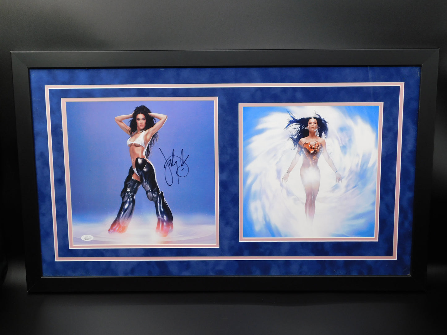 Katy Perry Signed Autographed Framed 143 Album Photo Insert Record JSA COA B