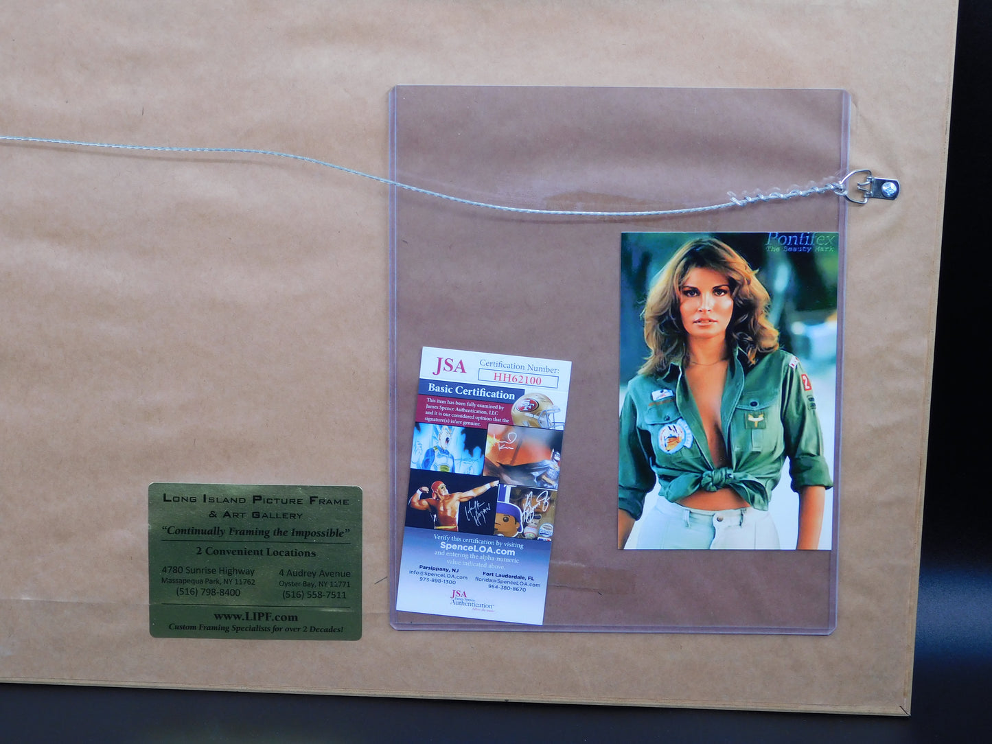 Raquel Welch Signed Autographed Framed Cut Fantastic Voyage 3 Musketeers JSA COA