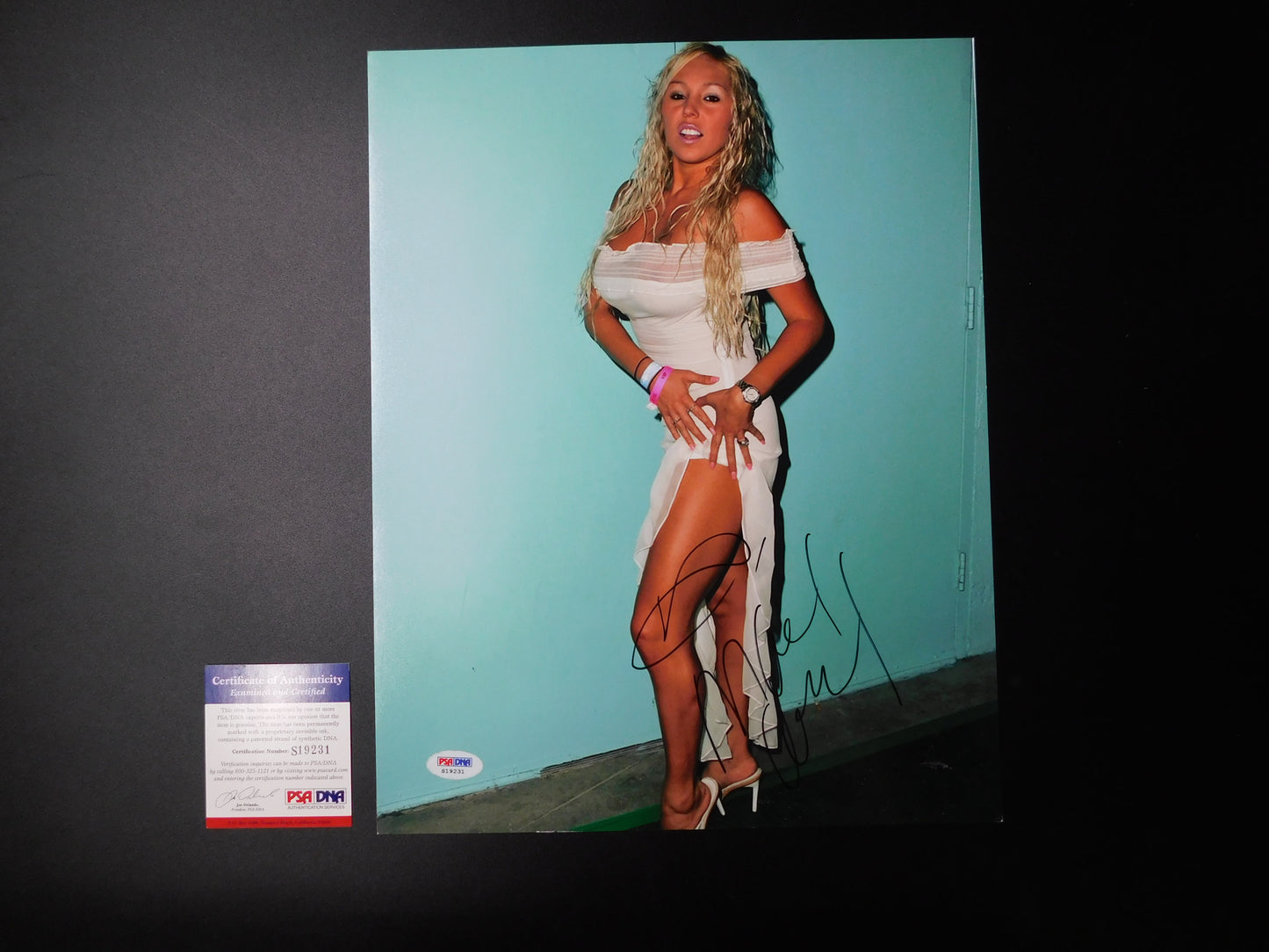 Mary Carey Signed Autographed 11x14 Photo Playboy Adult Film Star PSA COA