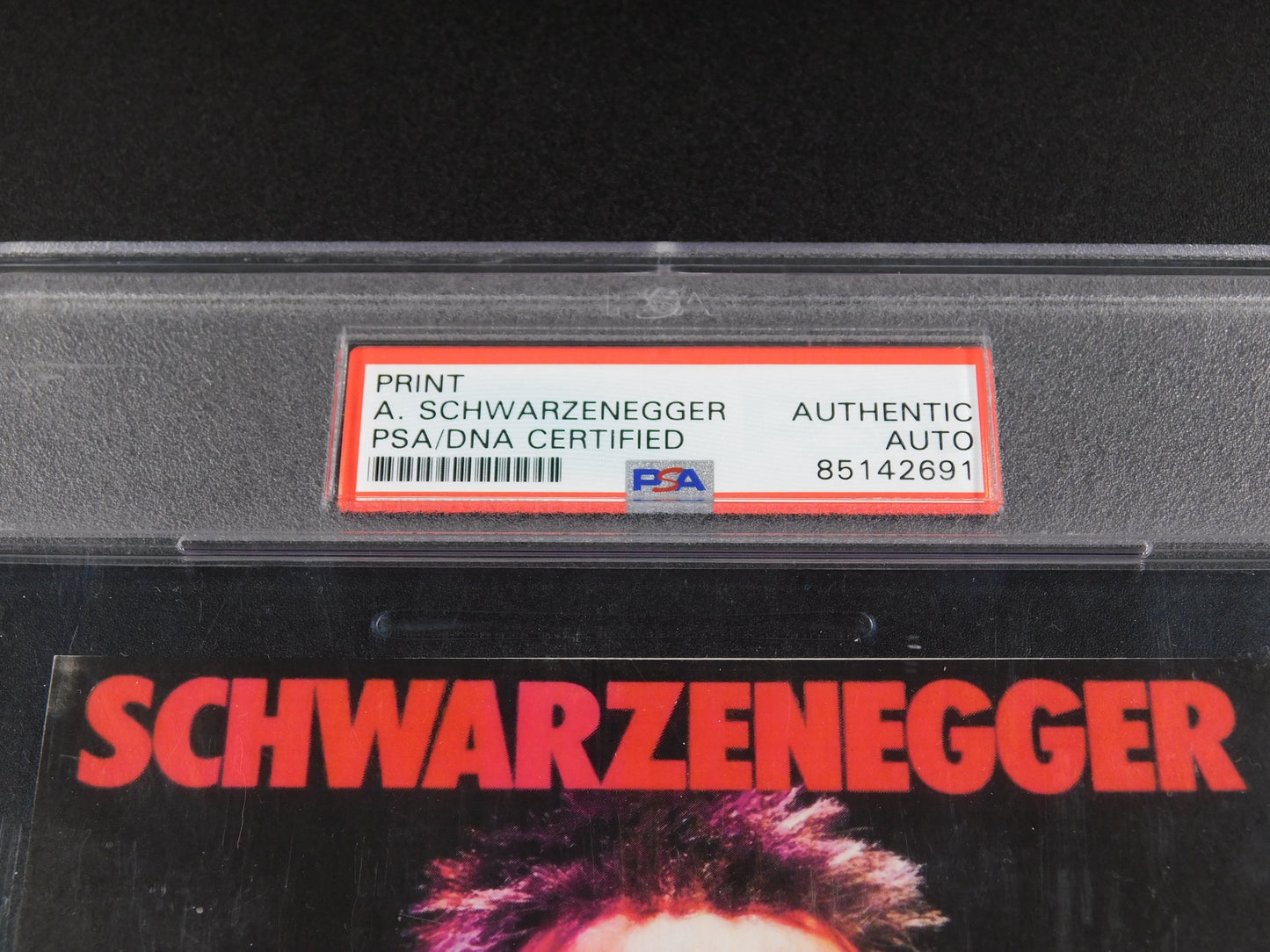 Arnold Schwarzenegger Signed Autographed 5x7 The Terminator Print PSA Slab COA