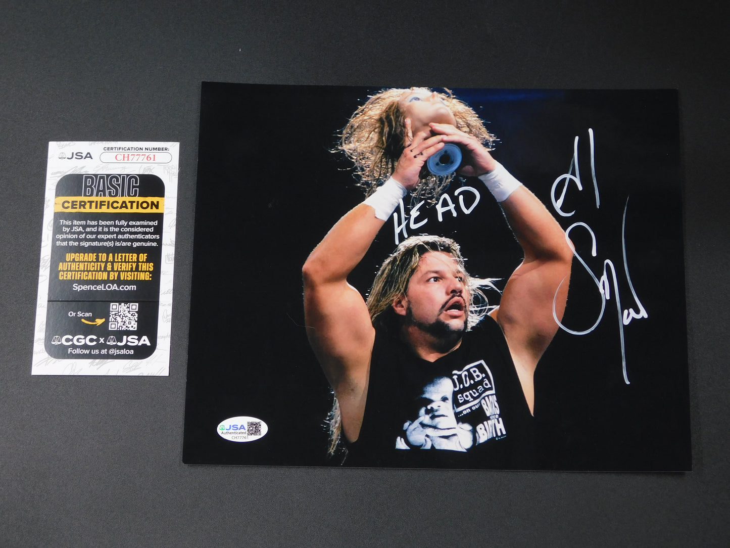 Al Snow / Autographed 8x10 Photo JSA COA WWE