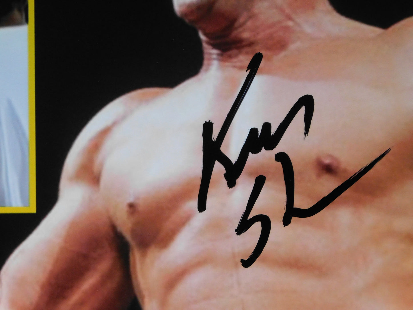 Ken Shamrock / Autographed 8x10 Photo JSA COA WWE