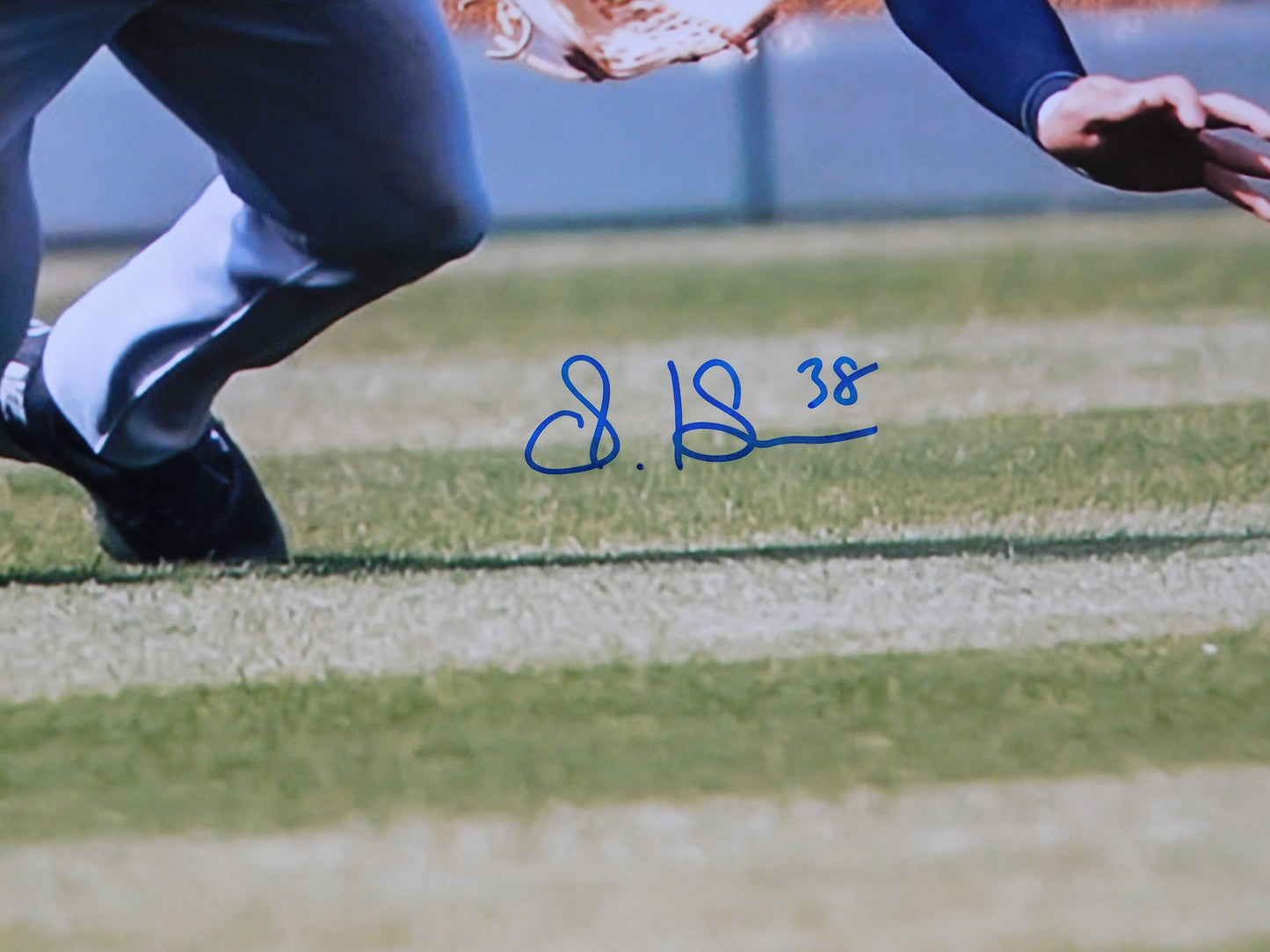 STEVEN KWAN Signed / Autographed 16x20 Fielding Photo JSA COA Cleveland Guardians