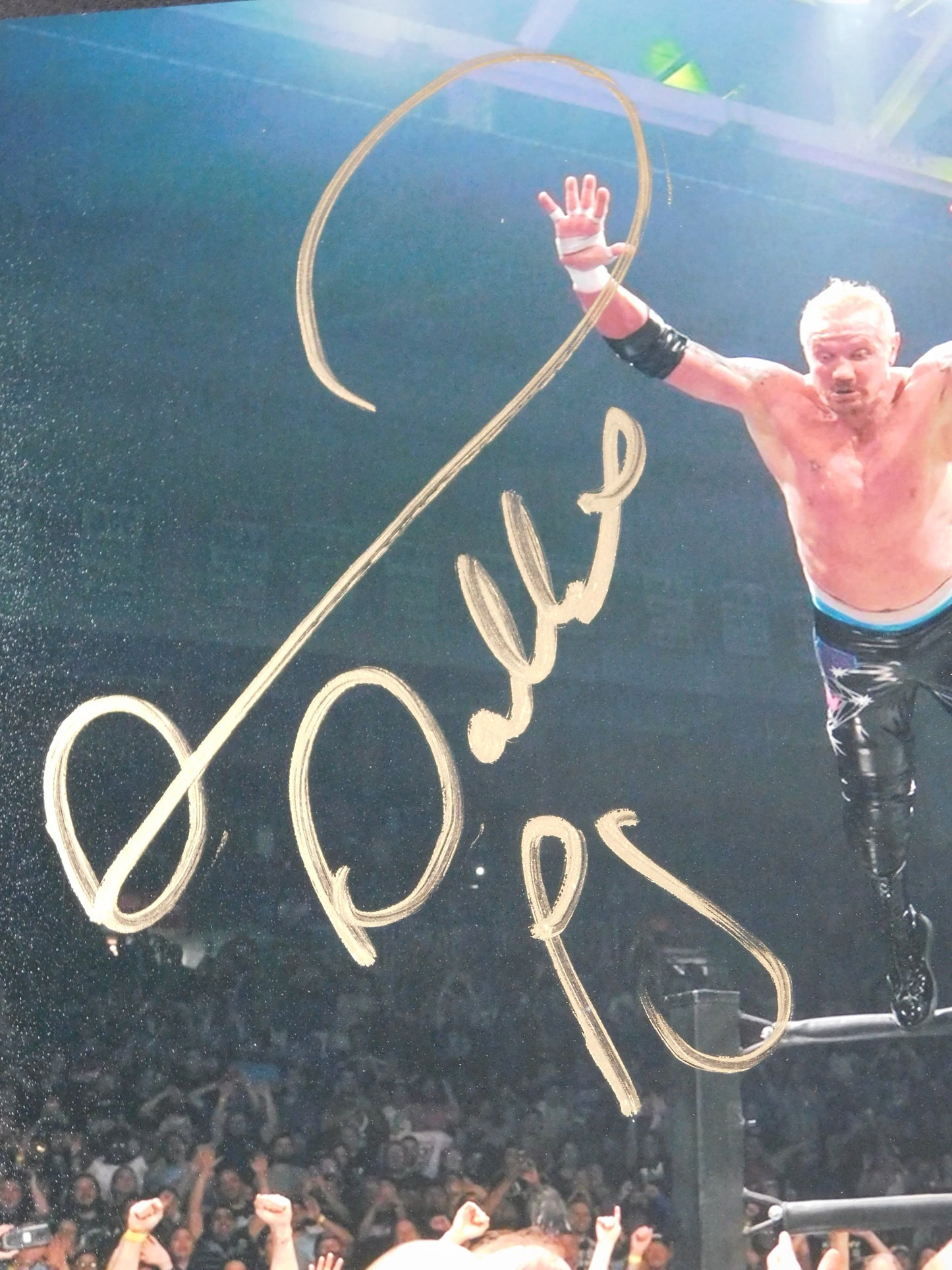 Diamond Dallas Paige / Autographed 8x10 Photo JSA COA WWE
