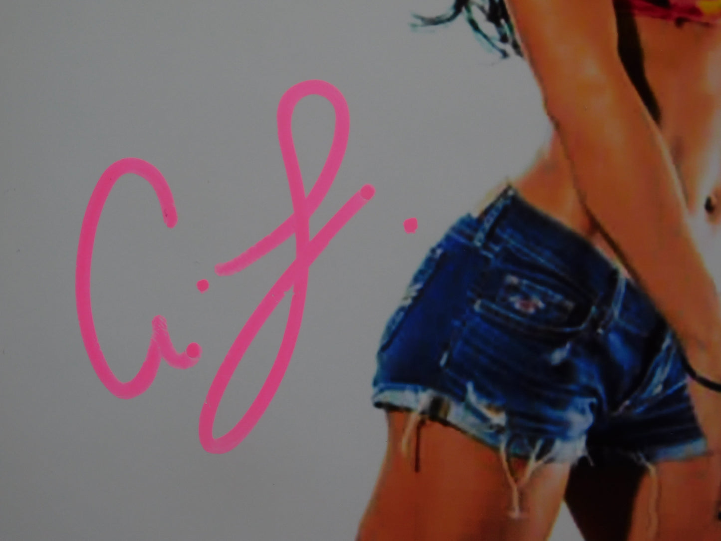Aj Lee Signed/Autographed 8x10 Photo JSA COA WWE