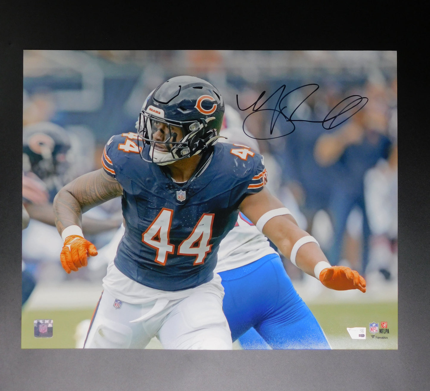 Noah Sewell Signed Autographed 16x20 Photo Chicago Bears Oregon Fanatics COA