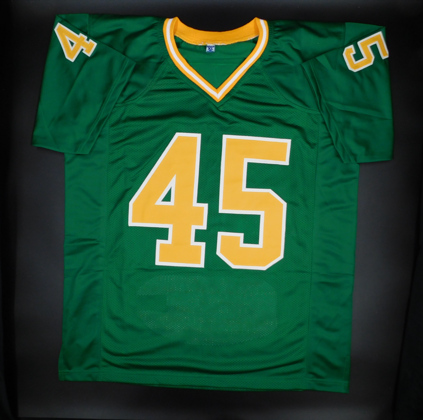 Rudy Ruettiger Signed Autographed Notre Dame Fighting Irish Green Stat Jersey JSA COA