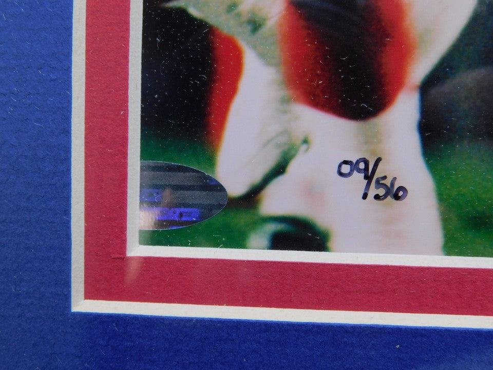 Lawrence Taylor Signed Autographed Framed 8x10 Photo Steiner New York Giant