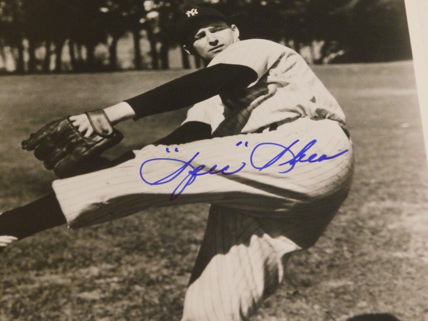 Spec Shea Signed Autographed 8x10 Photo New York Yankees NYY JSA COA Senators